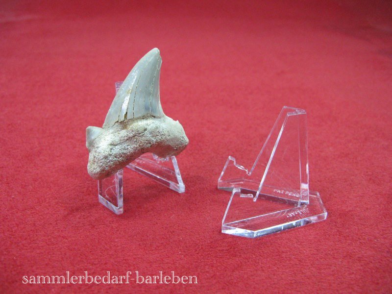 Mini Dekoständer, Ordenständer, Münzenständer