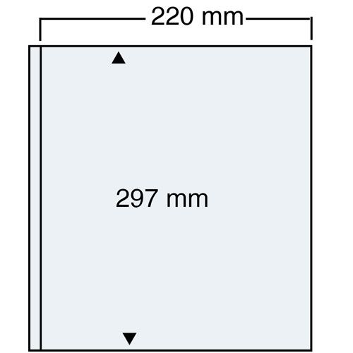 Sammlerbedarf Barleben – A4 Karton Blätter für die Blattschutzhülle 450 Karton in hellbeige, 10 Blatt Art.Nr. 482