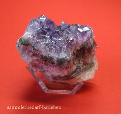 Dekotänder für Mineralien Fossilien Dekoeier 910